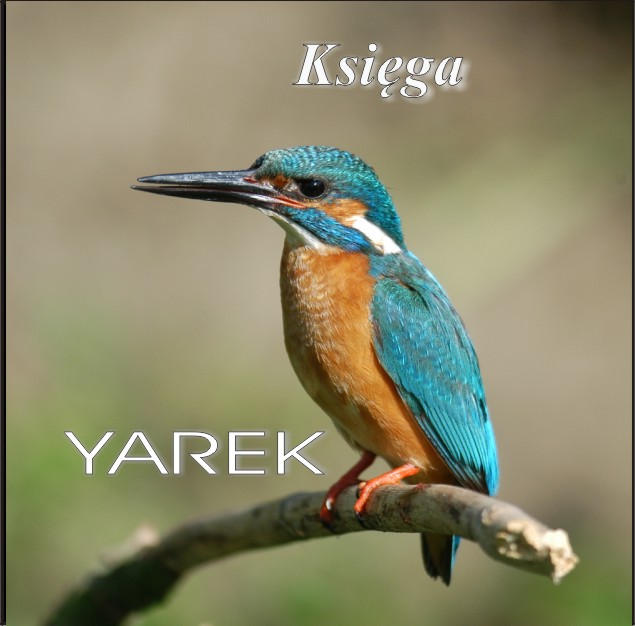 ksiega